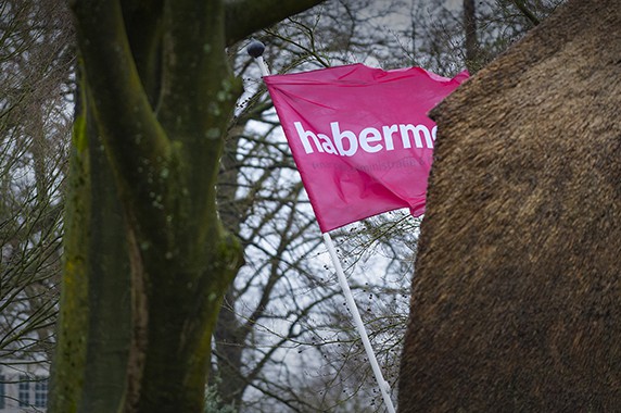 Habermehl vlag 3